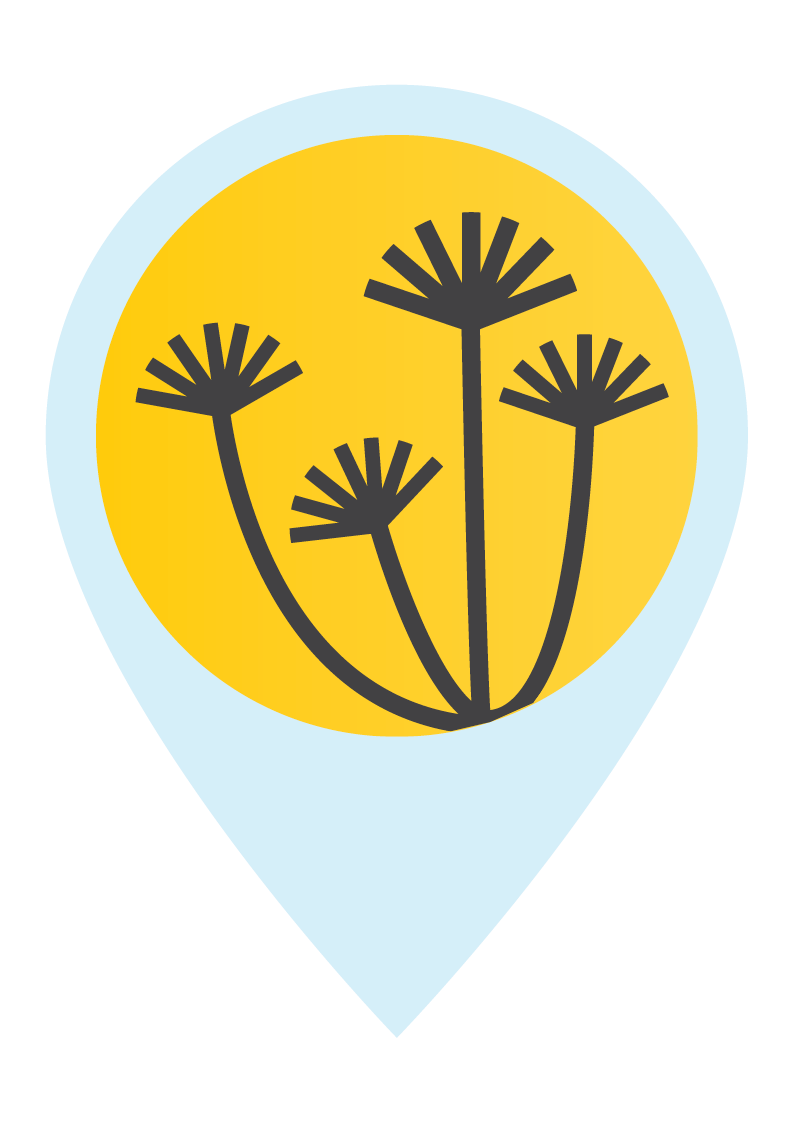 Graphic Design - MVCC3620 - Public Art Interactive Map Icons - May 2020 - ICONS The Crossways Reserve - Murals