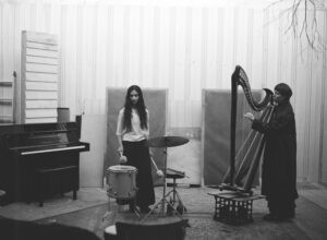 Whelk by Arjun Sohal b&w Whelk by Arjun Sohal b&w