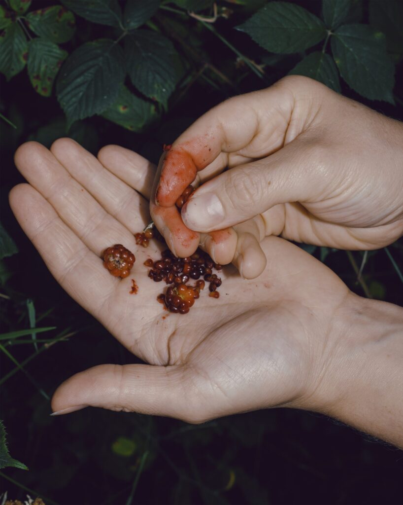 TTI 12 Triptych crop